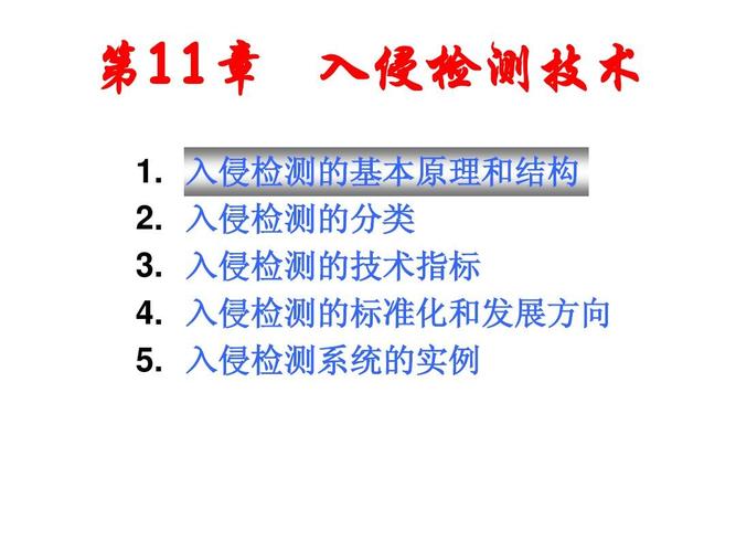 网络信息安全工程师 信息安全技术教程第四章 软件网络信息安全 网